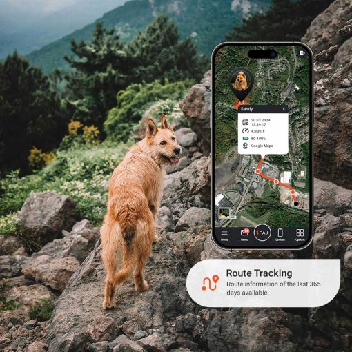 Route Tracking PAJ PET Finder 4G PAJ GPS Tracker