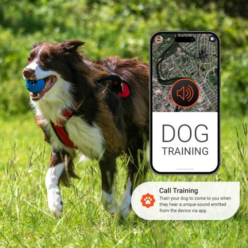 Call Training Function PAJ PET Finder 4G PAJ GPS Tracker