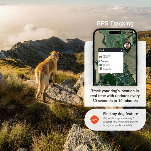 Find My Dog Feature GPS Tracking PAJ PET Finder 4G PAJ GPS Tracker