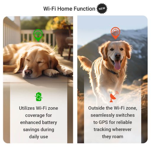 WiFi Function Indoor Tracking PAJ PET Finder 4G PAJ GPS Tracker